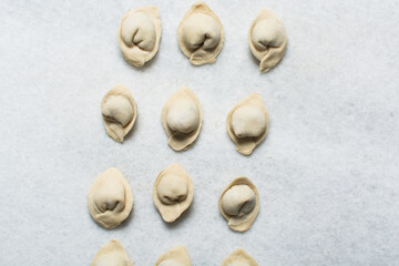 Overhead view of raw homemade wontons on a white countertop, top view of chicken dumplings on white background, process of making dumplings