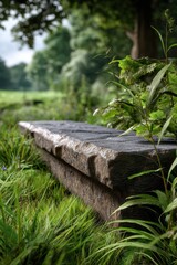 Obraz premium A Beautiful Stone Bench in a Lush Green Field Celebrating World Environment Day and Promoting Sustainability