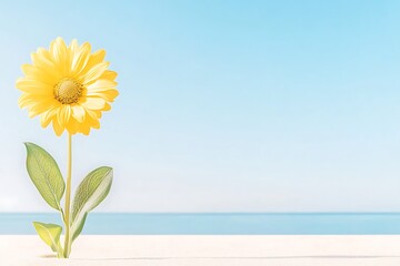Single Yellow Flower Beach Scene