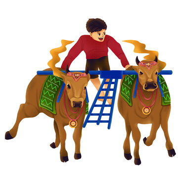 Karapan Sapi, tradition from east java