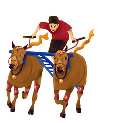 Karapan Sapi, tradition from east java