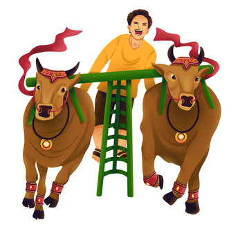 Karapan Sapi, tradition from east java