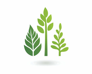 Obraz premium Three stylized green leaves on white background