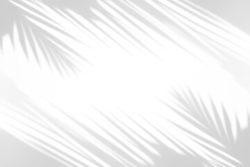 Fototapeta premium shadow overlay effects of realistic palm leaves shadow isolated on transparent background,shadow for product presentation interior backdrop design,Summer tropical coconut branch shade overla