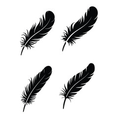 A silhouette of fether vector on a white background
