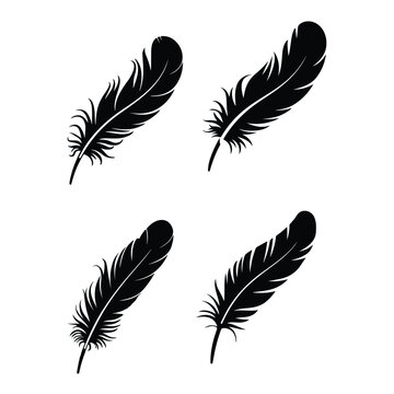 A silhouette of fether vector on a white background