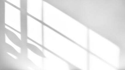 shadow overlay effects of realistic window and foliage leaves shadows isolated on transparent background,shadow for product presentation interior backdrop design,Summer wall abstract shadow overla