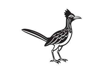 Fototapeta premium Roadrunner bird Silhouette vector
