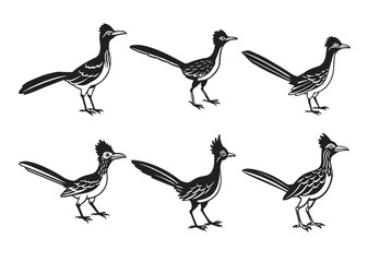 Obraz premium Roadrunner bird Silhouette vector Set