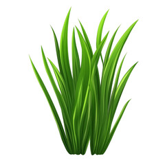 Lush green grass blades nature illustration vibrant foliage plant life