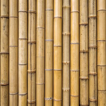 A textured wall made of vertical bamboo stalks, creating a natural and organic backdrop