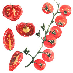 Red cherry tomatoes on a branch. Set of whole and sliced tomatoes. Branch with fruits. Watercolor isolated illustration hand drawn. For printing on menus, delivery, restaurants, social networks