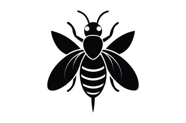 Fototapeta premium Silhouette of Ant, Set of Atn's cartoon of different shapes, Ant vector illustration, Collection of Hand Drawn Ant icons on white background.