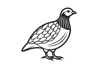 Fototapeta premium Bobwhite Quail Silhouette vector