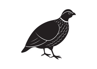 Obraz premium Bobwhite Quail Silhouette vector