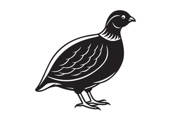Obraz premium Bobwhite Quail Silhouette vector