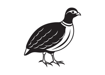 Obraz premium Bobwhite Quail Silhouette vector