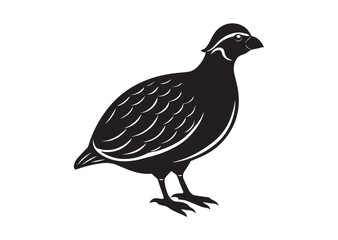 Fototapeta premium Bobwhite Quail Silhouette vector