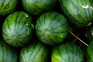 Green and sweet watermelons, freshly picked, piled up in a market in Pakse, Laos