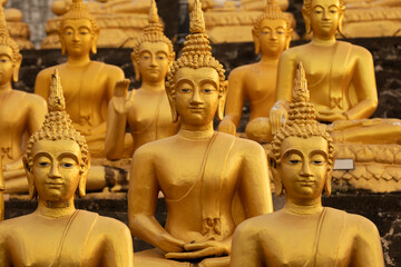Golden Buddha statues, seated in different meditation positions, at the Wat Phousalao temple, near...