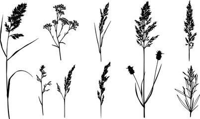 
A collection of hand-drawn brush strokes depicting weed plants in a grunge style, featuring abstract elements painted with ink, isolated on a white background with black herbs and flowers