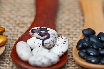 background of legumes