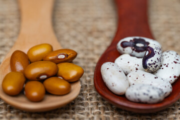 background of legumes