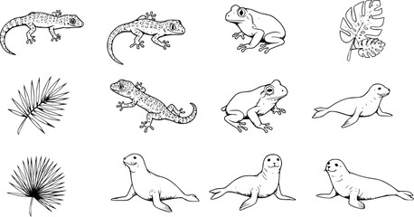 Obraz premium Stylized illustrations of various reptiles and amphibians in a minimalist design showcasing unique features and forms 