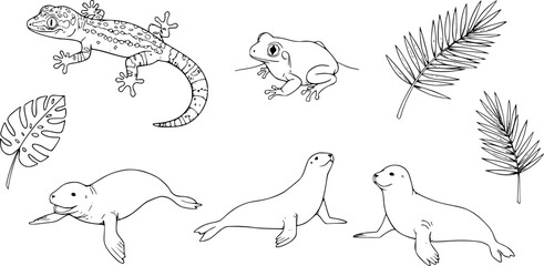 Stylized illustrations of various reptiles and amphibians in a minimalist design showcasing unique features and forms
