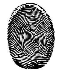 High-Resolution Black and White Fingerprint Illustration &ndash; Unique Identity Symbol in Detailed Biometrics Style for Security and Forensics Concepts