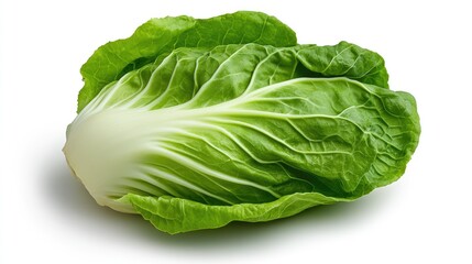 Traditional Korean baechu kimchi napa cabbage fermenting on an immaculately white background.