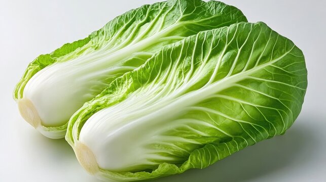 Traditional Korean baechu kimchi napa cabbage fermenting on an immaculately white background.