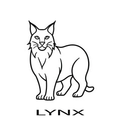 Lynx Vector Illustration in Bold and Majestic Style.