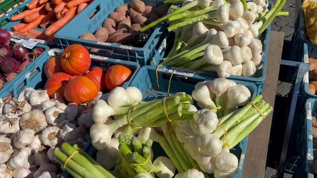 young garlic, carrots and potatoes at the farmers' market