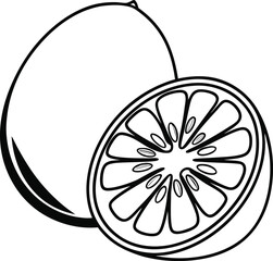 pomelo fruit icon, shaddock fruit vector illustration-simple illustration of pomelo fruit
