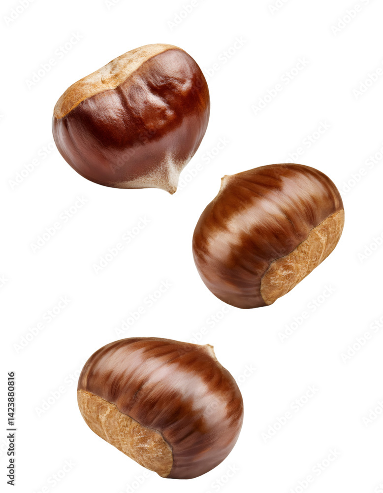 Poster three chestnuts falling against transparent background, with clipping path included for easy isolati
