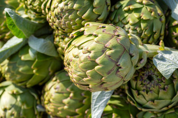 Obraz premium Green fresh organic artichoke in bazaar. Can be used as background texture.
