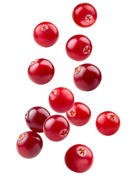 Vibrant red cranberries dropping, splashing against clean transparent surface with fresh, dynamic motion