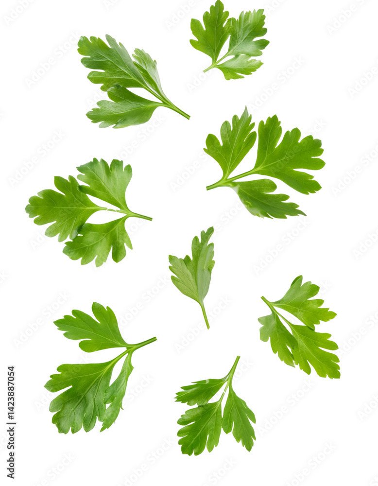Poster parsley leaves falling against a transparent background, creating a dynamic and vibrant visual for f