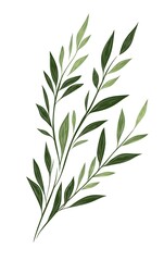 Obraz premium Design clean, minimal rosemary clipart with simple sprigs and green tones, isolated on a white background