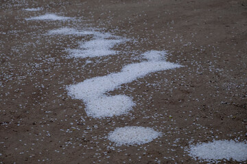 Cherry or plum petals fallen on the ground and formed in piles by wind