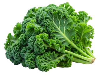 A bunch of fresh kale leaves with textured green veins isolated on white background. PNG