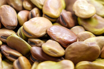 Pile of dried fava bean or Vicia faba. Uncooked raw legume ingredient