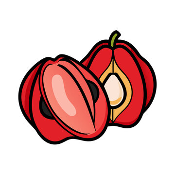 ackee fruit icon, ackee fruit vector illustration-simple illustration of ackee fruit, perfect for ackee fruit logos and icons