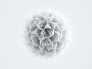 flower, pink, nature, flowers, beauty, decoration, bloom, spring, blossom, plant, rose, bouquet, floral, flora, purple, petal, love, closeup, pattern, object, macro, carnation, summer, garden, lilac