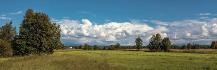 Serene Meadow Landscape: Lush Grass, Trees, and Puffy Clouds on Sunny Day, Distant Mountains under Blue Sky