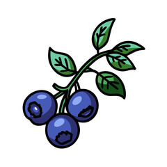 bilberry icon, bilberry vector illustration-simple illustration of bilberry, perfect for bilberry logos and icons