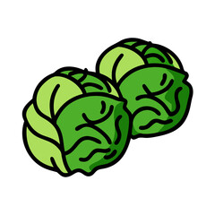 brussels sprouts icon, brussels sprouts vector illustration-simple illustration of brussels sprouts, perfect for brussels sprouts logos and icons