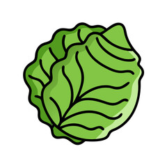 cabbage icon, cabbage vector illustration-simple illustration of cabbage, perfect for cabbage logos and icons
