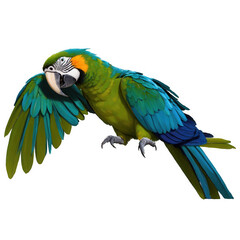 Fototapeta premium Green Blue Parrot Illustration. Tropical bird with colorful plumage flapping wings. Isolated image, transparent, png.